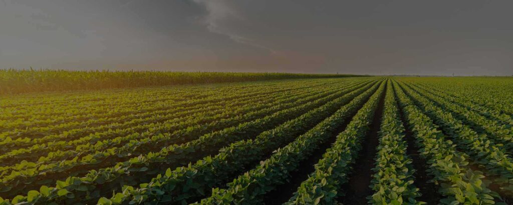 Agriculture